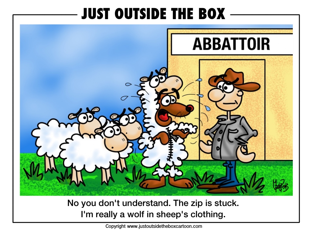 sheep at the abattoir