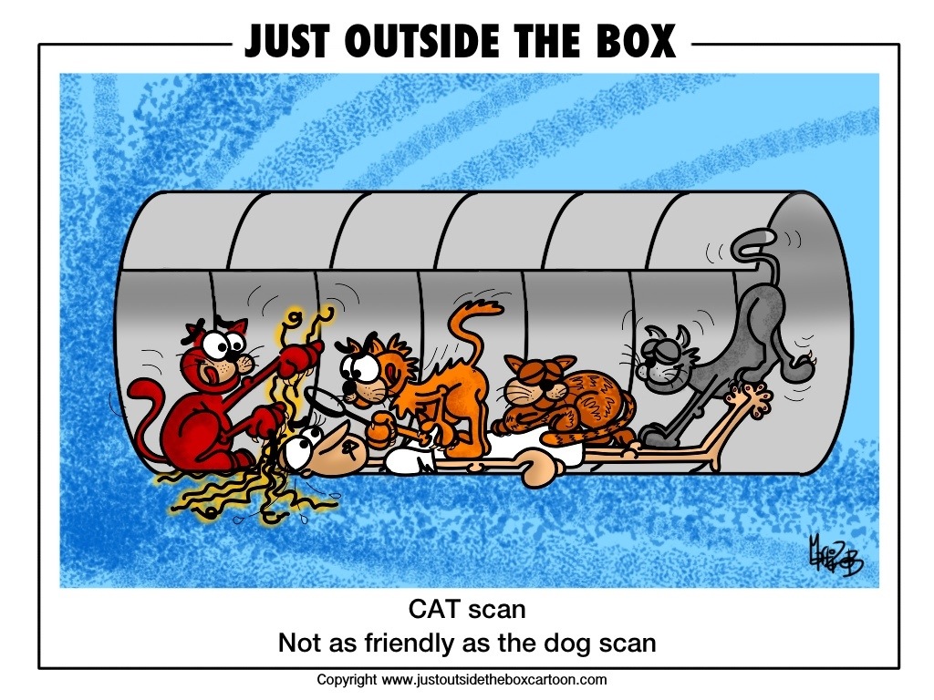 CAT scan Archives - Just Outside the Box Cartoon