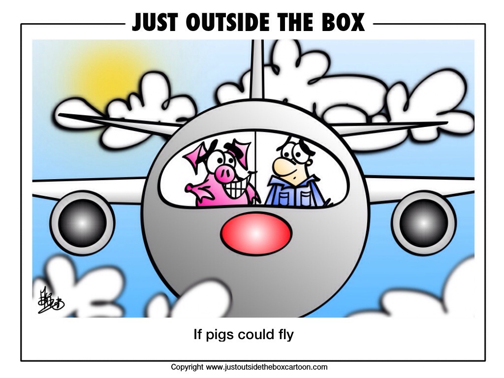 Flying pig pilot