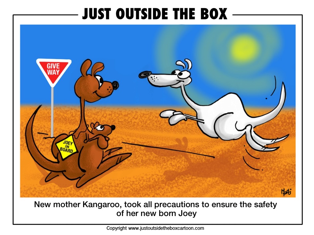 Funny facts about Kangaroos. Кенгуру архив