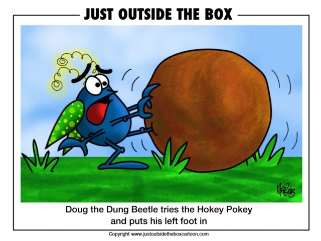 Doug the dung beetle does the hokey pokey
