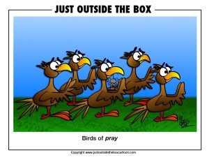 Birds of pray wordplay