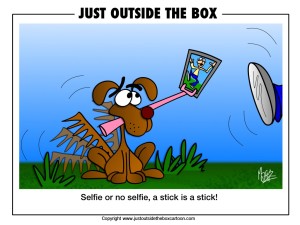 Dog and stick